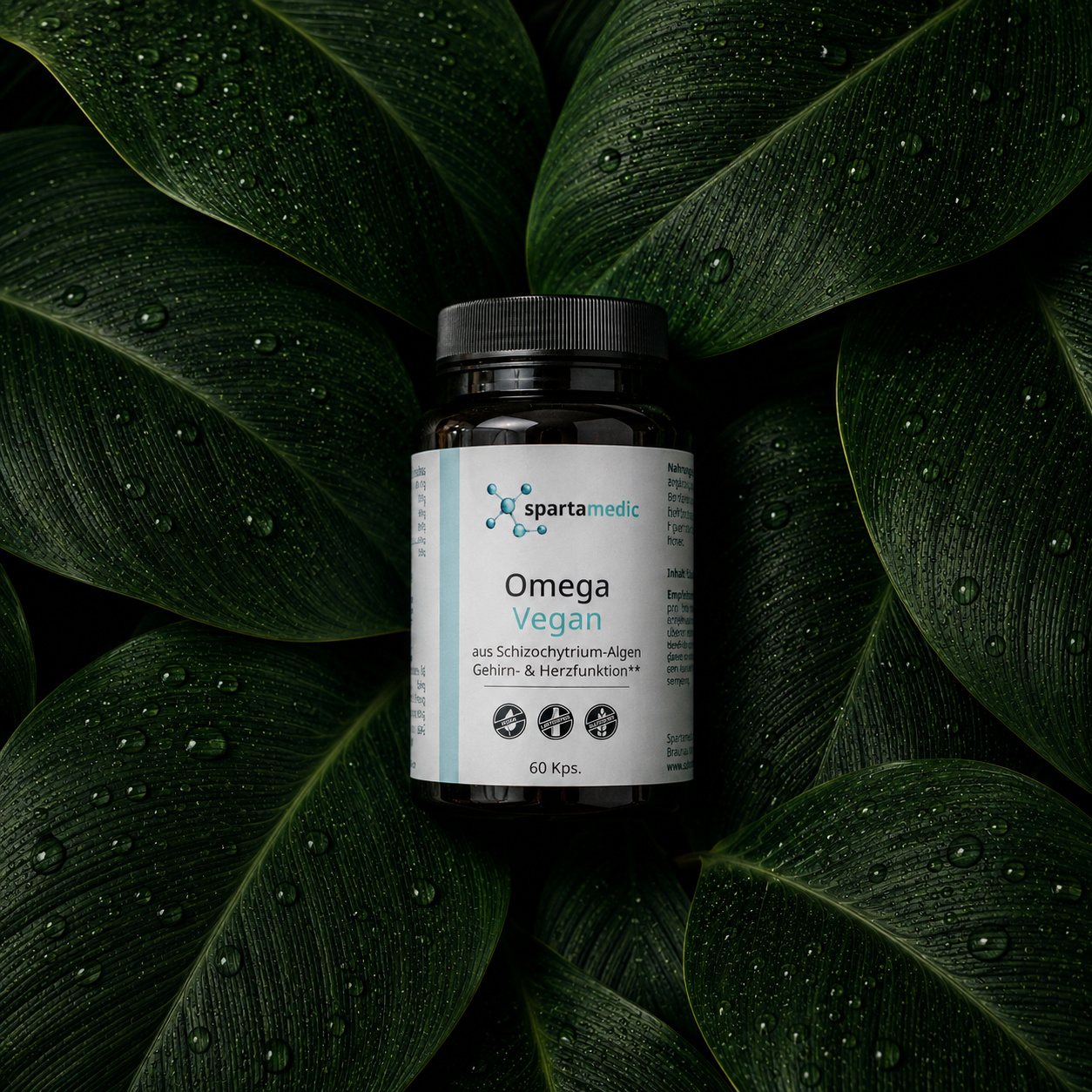 Omega 3 vegan