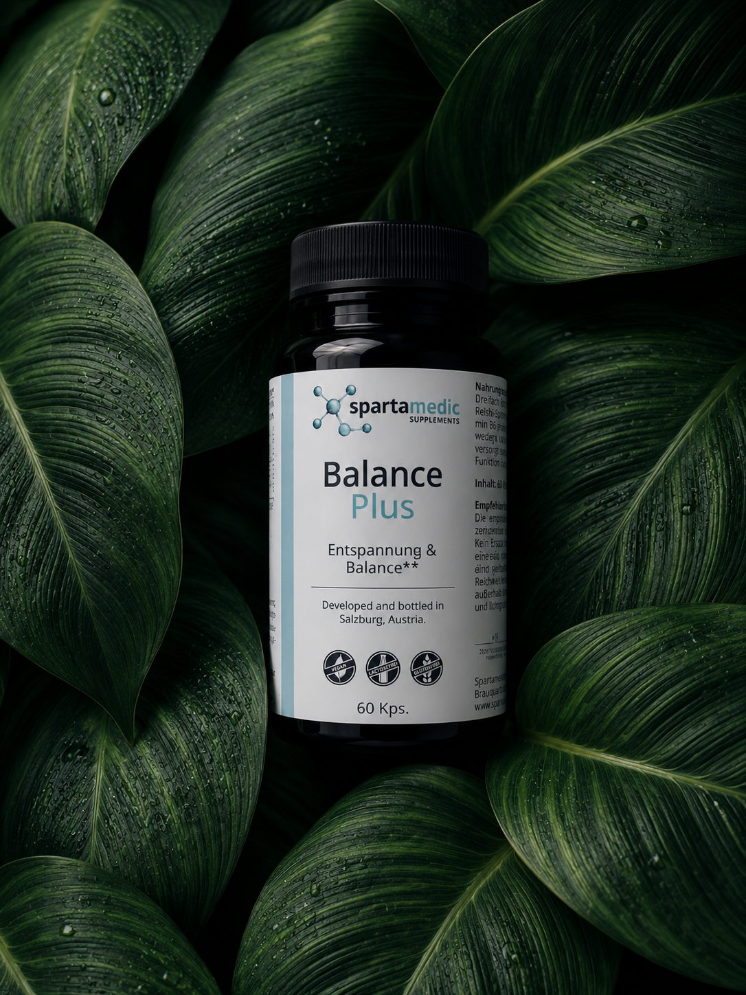 BALANCE PLUS