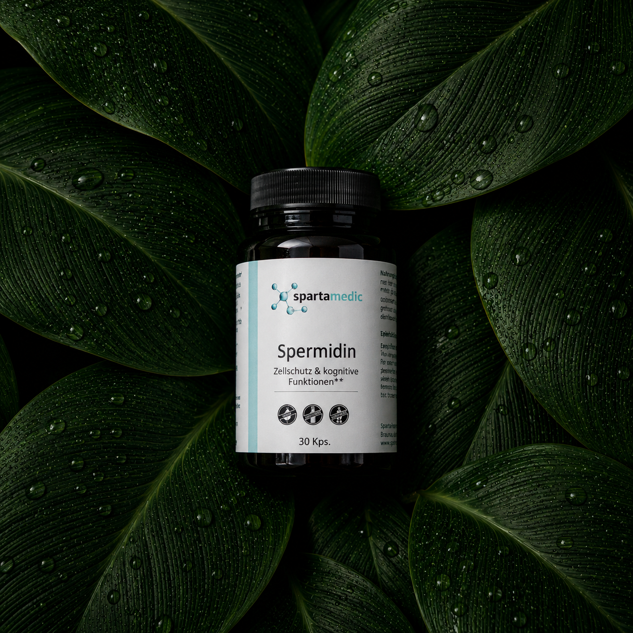 SPERMIDIN